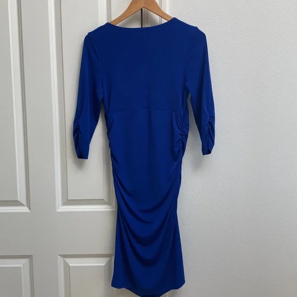 A Pea in the Pod maternity Dress - Picture 6 of 6